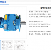 RF57-ZP1.1-4P-43.30-M1-Φ200减速电机型号解析