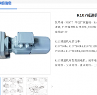 R107-47.63-7.5kw/4P-M1-0°减速电机型号解析