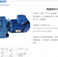 R137-Y22-4p-44.39-M1-0减速电机型号解析